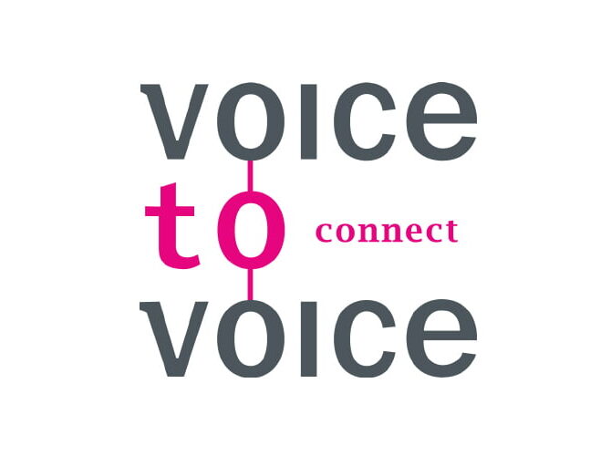 Voice to Voice - Lemmer